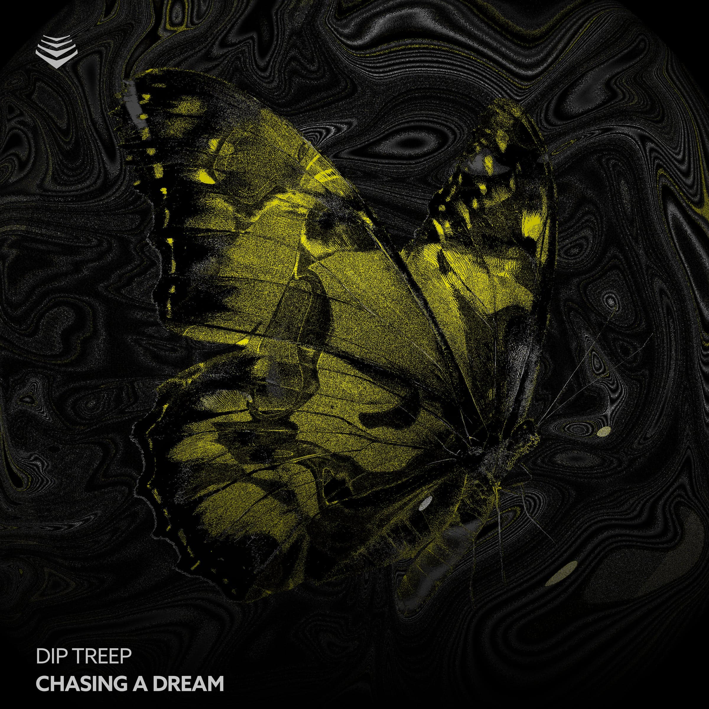 Chasing A Dream artwork